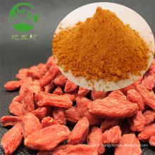 Usine traitant 100 % de poudre de goji extrait pur de baies de goji